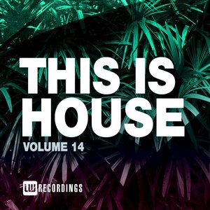 This Is House, Vol. 14 (Explicit)