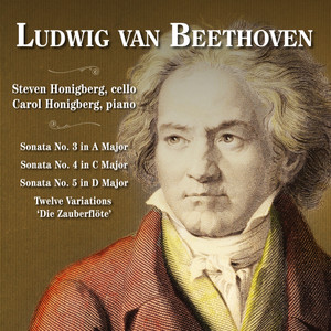 Steven Honigberg - Sonata No. 5, Op. 102 No. 2 - I. Allegro con brio