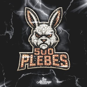 500 Plebes