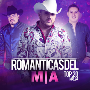 Romanticas Del M|a Top 20, Vol. 14