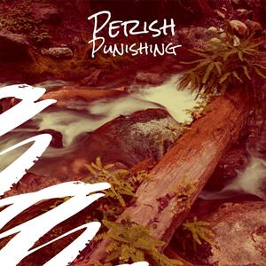 Perish Punishing