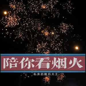 陪你看烟火