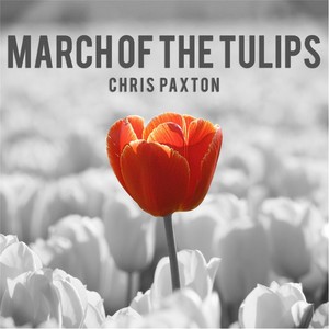 March of the Tulips