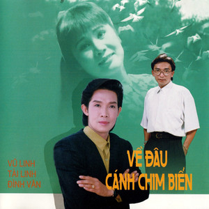 Về Đâu Cánh Chim Biển