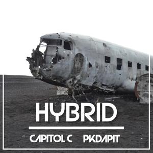 HYBRID (feat. PKDAPIT) [Explicit]