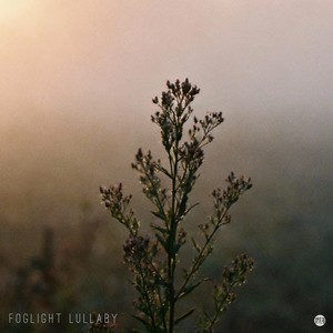 Foglight Lullaby