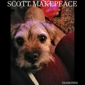 Diamonds (Electric Bear Studios, live session)