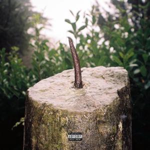 Speech Plasticity (feat. Elvin Brandhi) (Explicit)