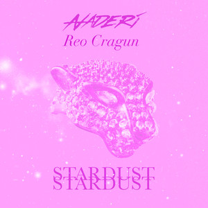 Stardust