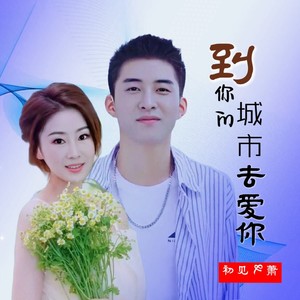 到你的城市去爱你