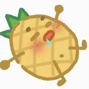 去北极忘记你-小菠萝