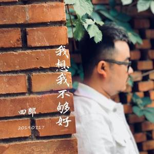 我想我不够好
