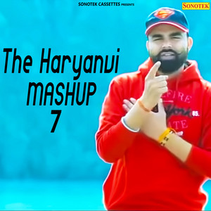 The Haryanvi Mashup 7 - Single