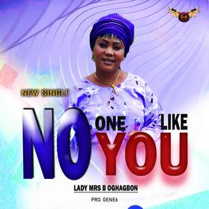 NO ONE LIKE YOU (Explicit)