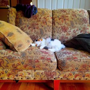 Autumnity(feat. Theo Lebeaux)