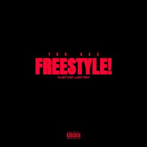 Freestyle (part 1 & 2) [Explicit]