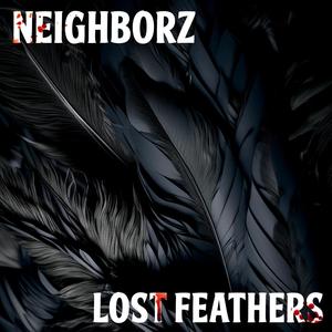 Lost Feathers