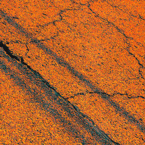 Neverland (Explicit)