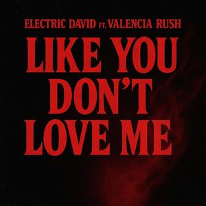 Like You Don't Love Me (feat. Valencia Rush) (Explicit)