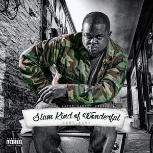 Slum Kind of Wonderful (Explicit)