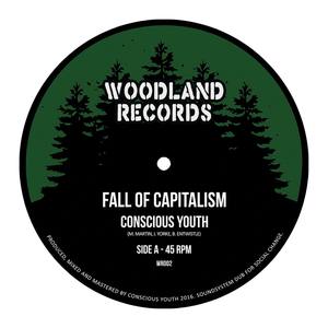 Fall of Capitalism