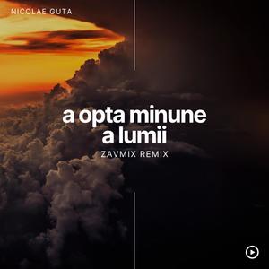 a opta minune a lumii