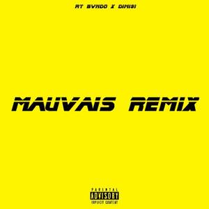 Mauvais (remix) [Explicit]