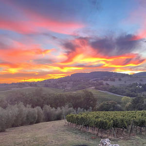 Venus Return To My Heart