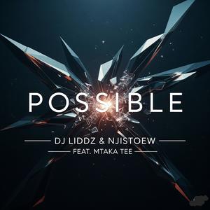 Possible (feat. Njistoew & Mtaka Tee)