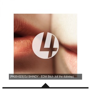 EDM B**ch(Kill The Dubstep) (Original Mix)