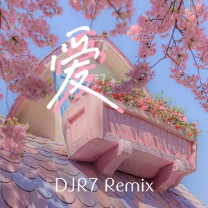 爱 (DJR7)