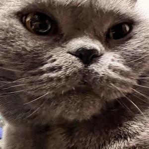 我想 (prod by Lakewavebeatz)