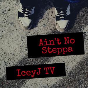 Aint No Steppa (Explicit)