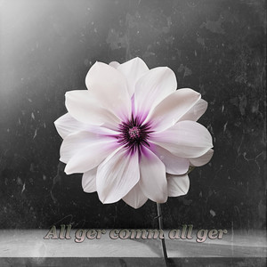 All Ger Comm All Ger (Explicit)