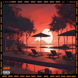 LinkOp (feat. RoeMelloe, TX & DJ Reflector) (Explicit)