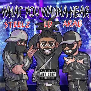 What You Wanna Hear (Explicit)