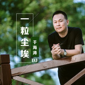 一粒尘埃 (DJ版)