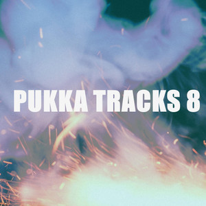 PUKKA TRACKS 8