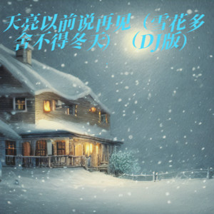 天亮以前说再见（雪花多舍不得冬天） (DJ版)