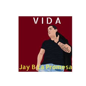 Vida