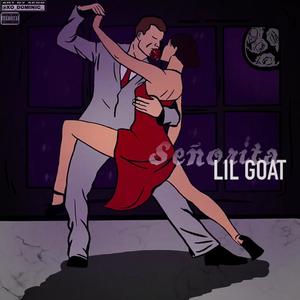 Señorita (Explicit)