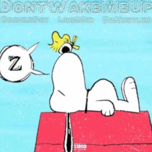 Don't Wake Me Up (feat. Flakka) (Explicit)