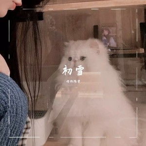 当我学会了一个人