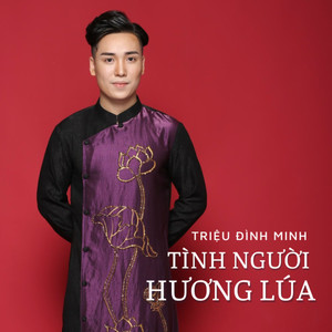 Tình Người Hương Lúa