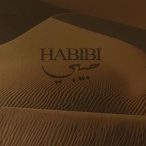 Habibi Metal