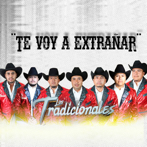 Te Voy a Extrañar