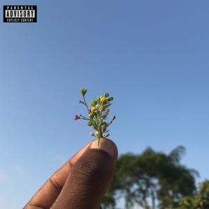 REMEMBER YOUR PLACE (feat. Frank Miino)