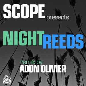 Night Reeds (Original Mix)