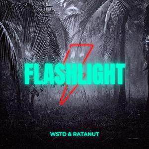 Flashlight (Extended Mix)