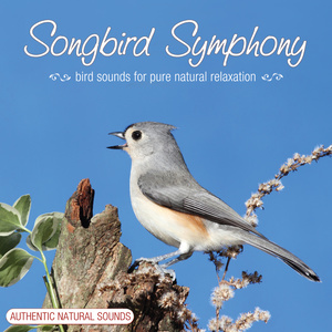 Songbirds Symphony